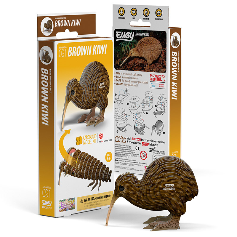 3D Cardboard Model Kit - Brown Kiwi