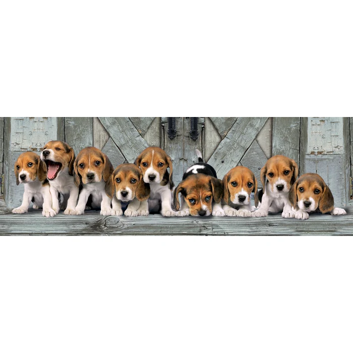 1000 pc Panoramic Puzzle - Beagles