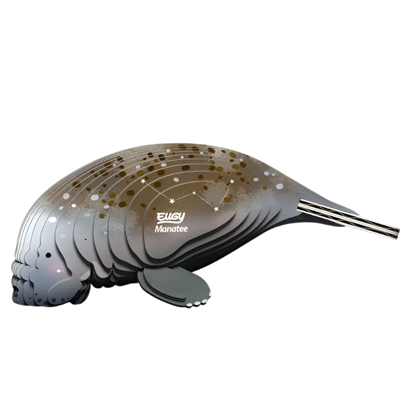 3D Cardboard Model Kit - Manatee