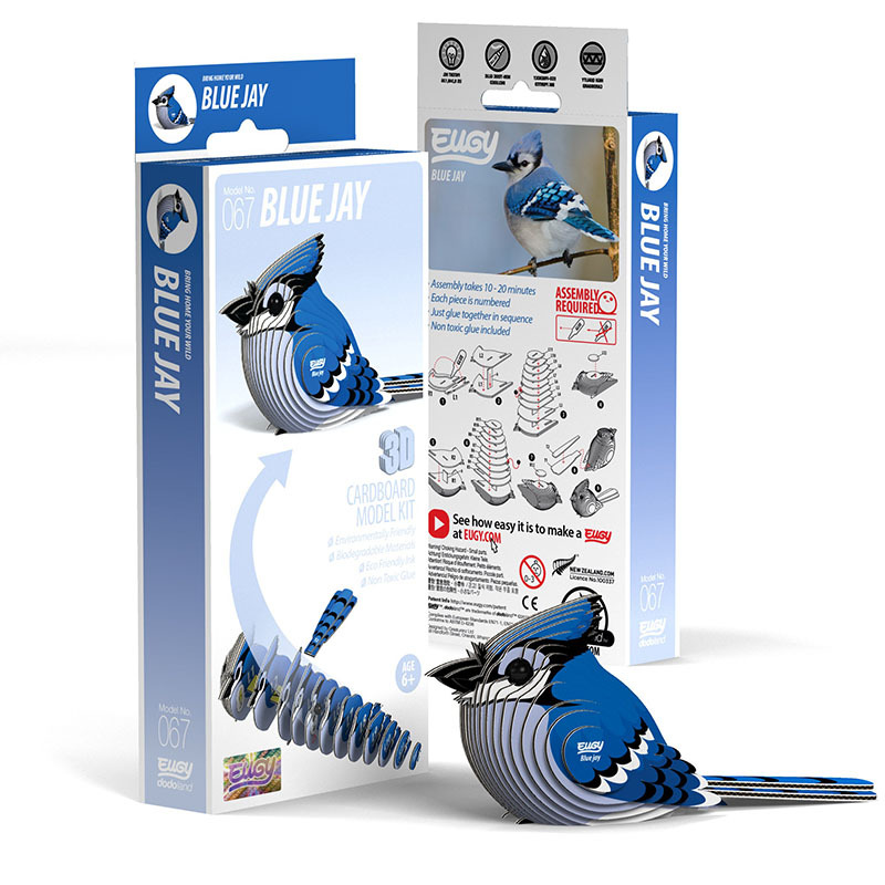 3D Cardboard Model Kit - Blue Jay