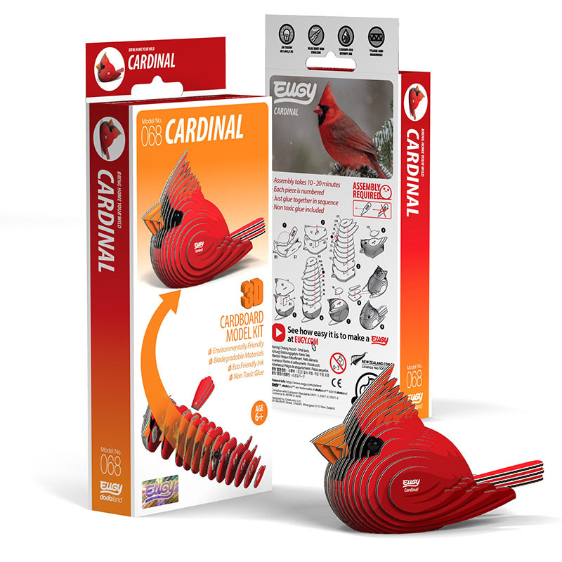 3D Cardboard Model Kit - Cardinal