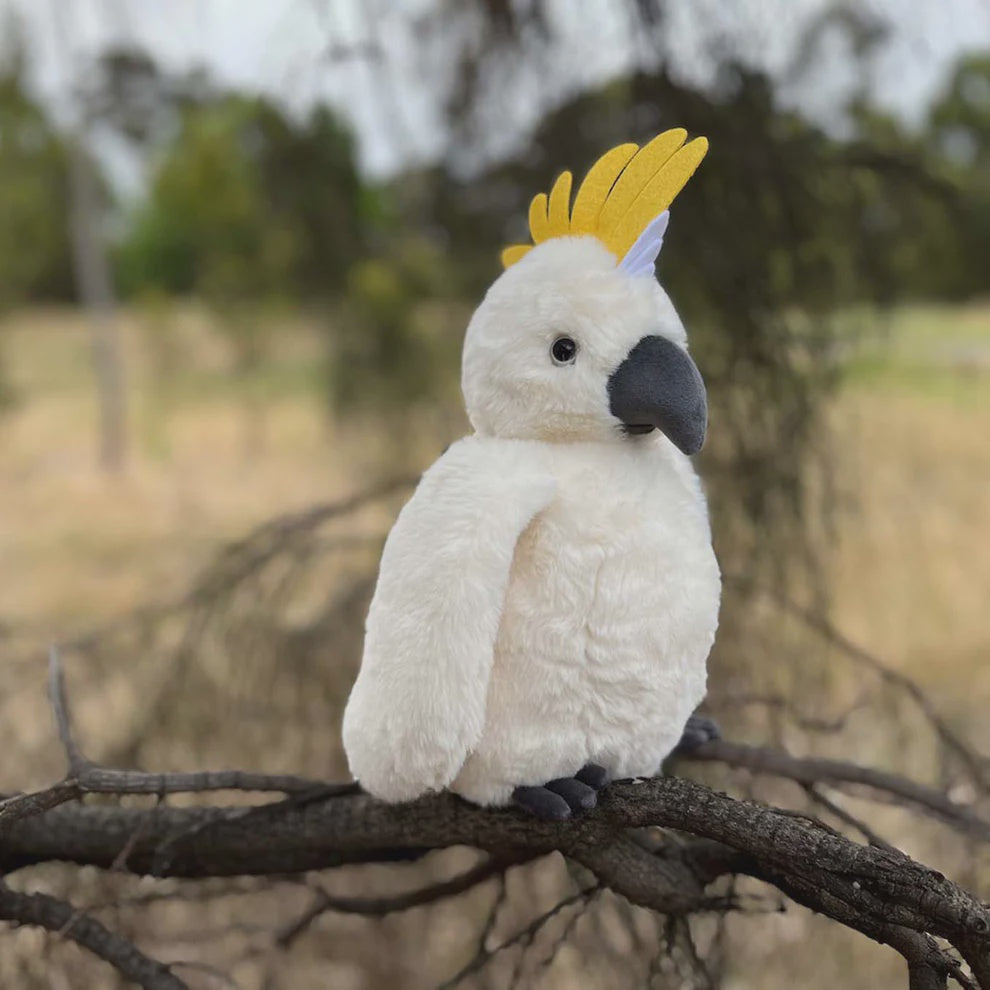 Furfolk - Cockatoo