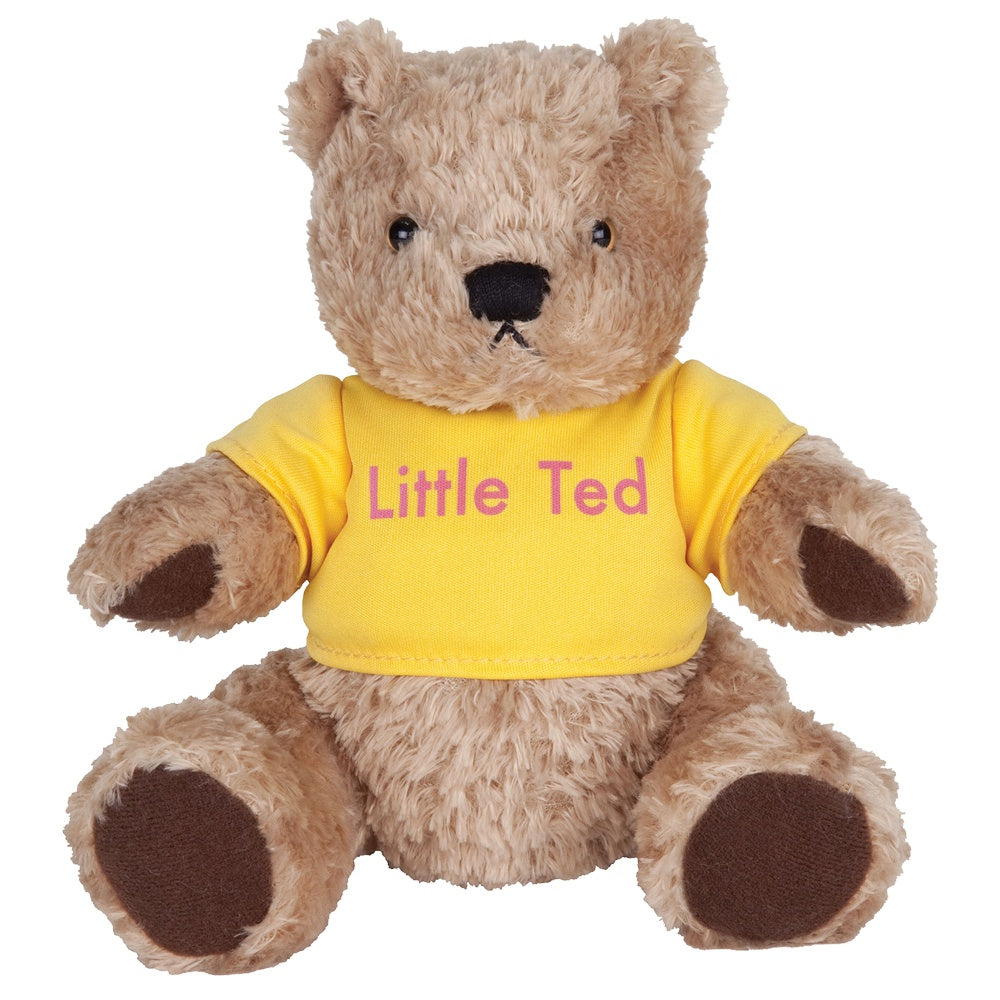 Little Ted Beanie Soft Toy