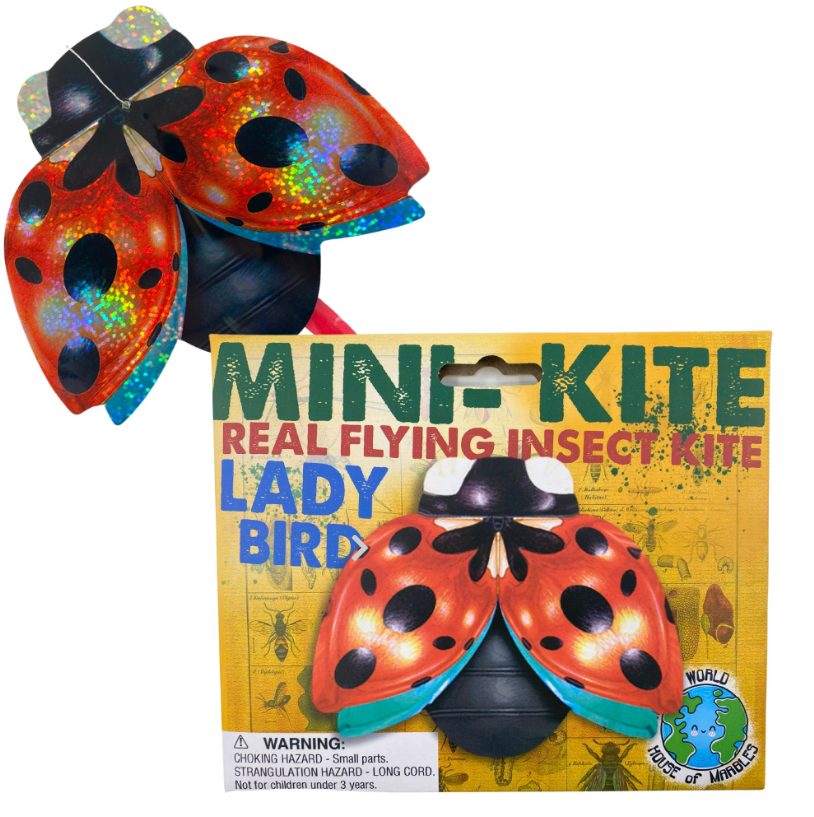 Mini Flying Insect Kites