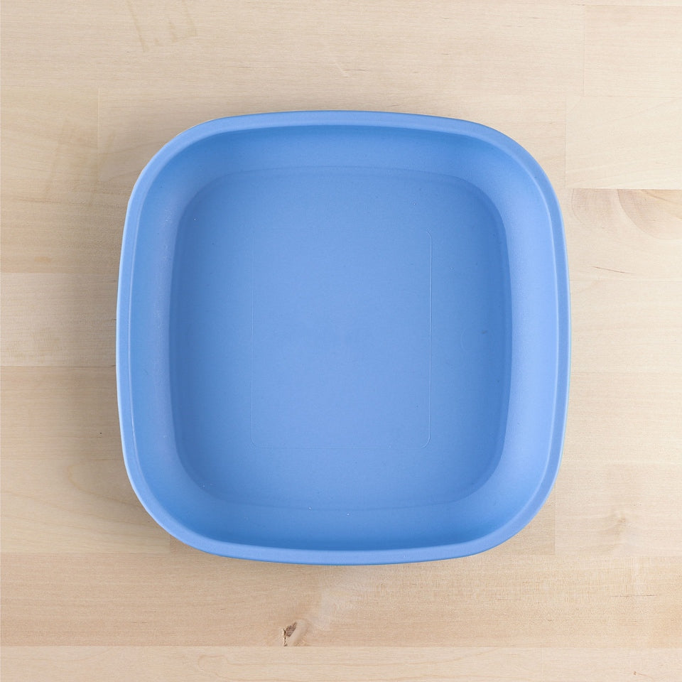 Large Flat Plate (9"/23cm)