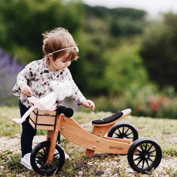 Kinderfeets Bike Crate