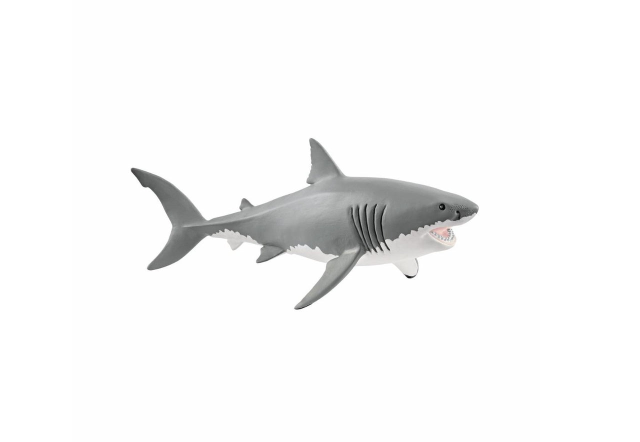 Great White Shark