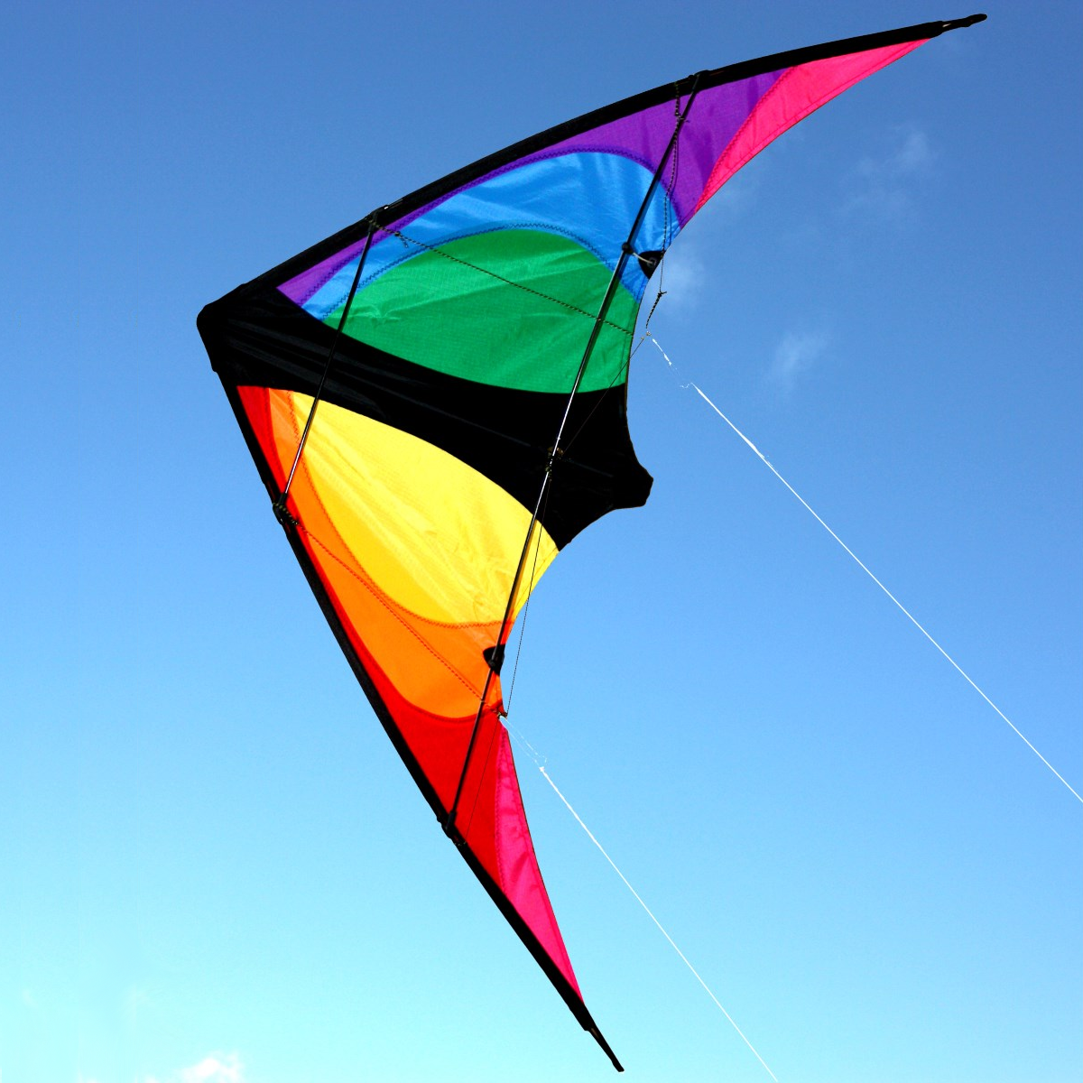 Stinger Dual Control Twister Kite – Toys and Tales