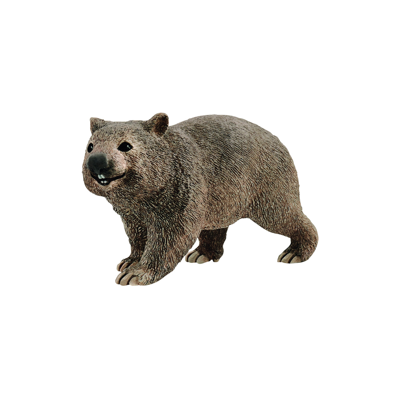 Wombat