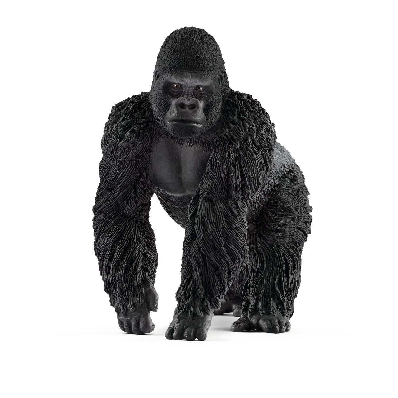 Gorilla Male