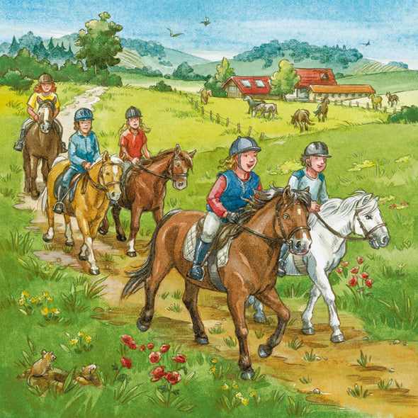 3 x 49 pc Puzzle - A Day With The Horses