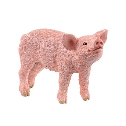 Piglet