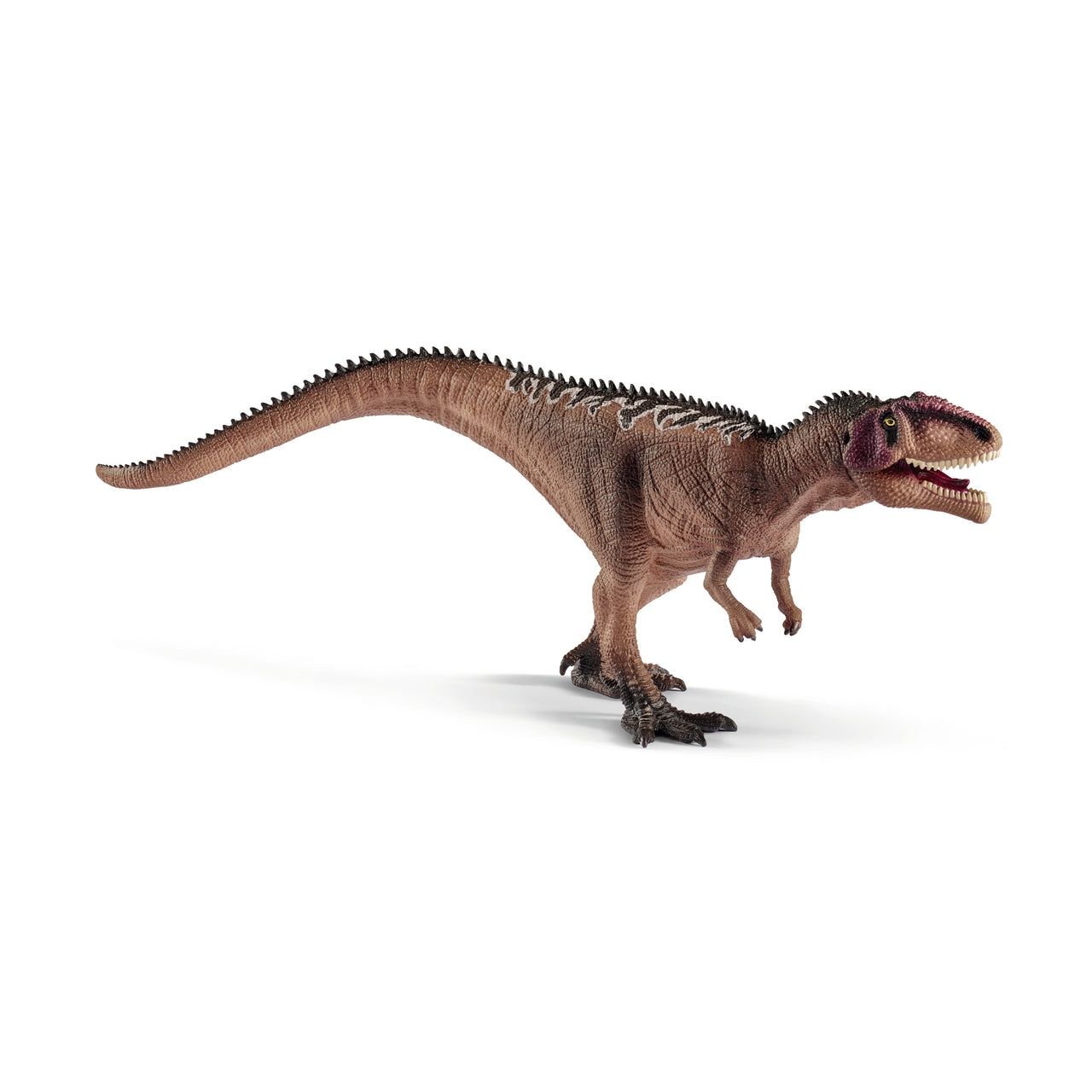 Young Gigantosaurus